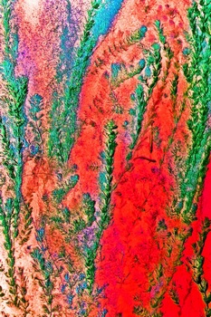 N 042C